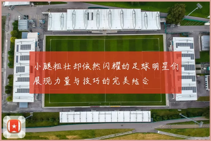 小腿粗壮却依然闪耀的足球明星们展现力量与技巧的完美结合