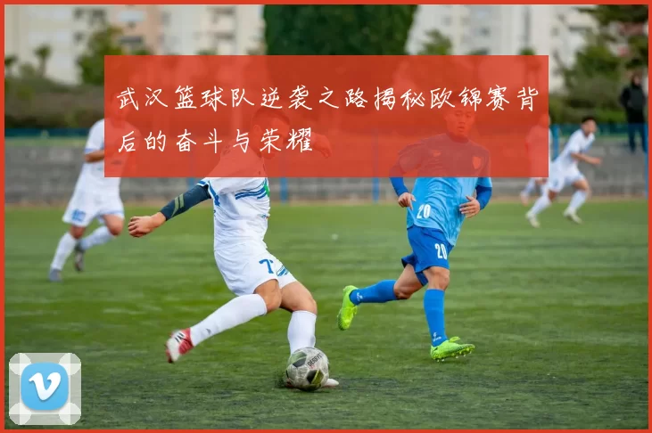 武汉篮球队逆袭之路揭秘欧锦赛背后的奋斗与荣耀