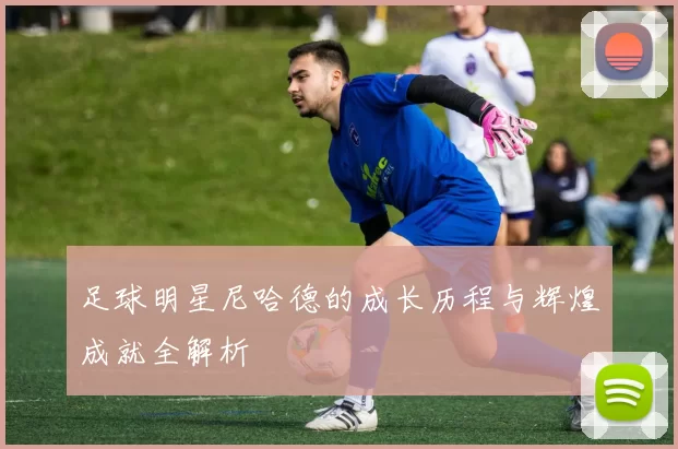 足球明星尼哈德的成长历程与辉煌成就全解析