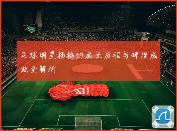 足球明星杨梅的成长历程与辉煌成就全解析