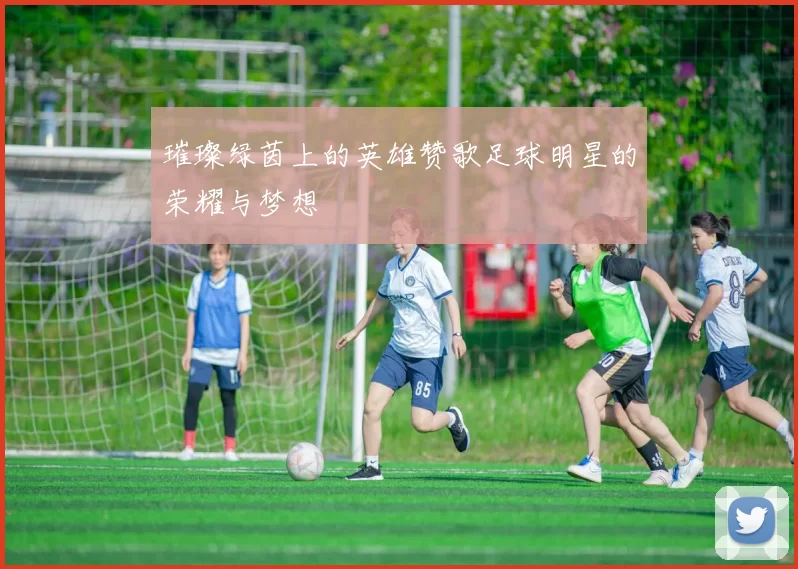 璀璨绿茵上的英雄赞歌足球明星的荣耀与梦想