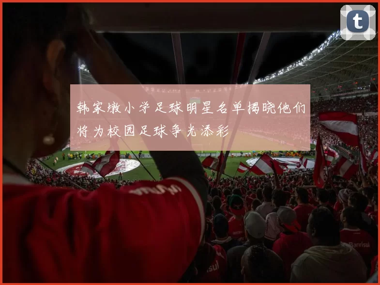 韩家墩小学足球明星名单揭晓他们将为校园足球争光添彩