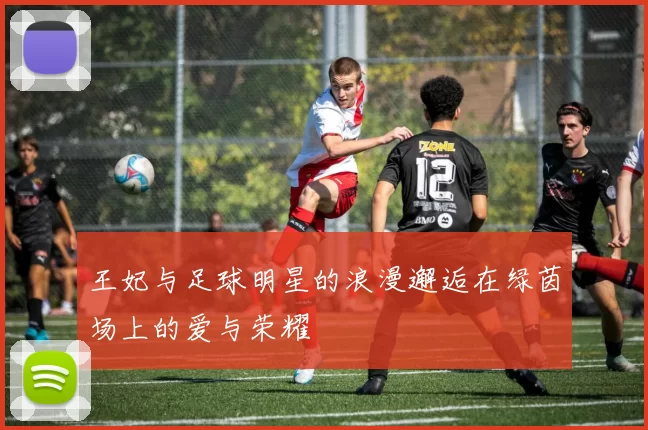 王妃与足球明星的浪漫邂逅在绿茵场上的爱与荣耀