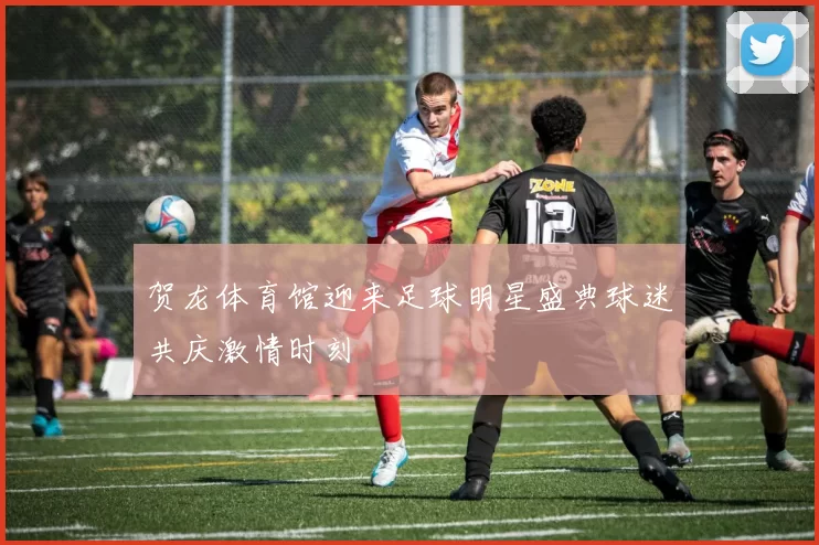贺龙体育馆迎来足球明星盛典球迷共庆激情时刻