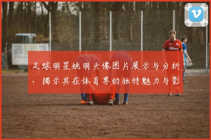 足球明星姚明头像图片展示与分析，揭示其在体育界的独特魅力与影响力