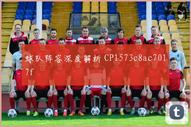 球队阵容深度解析 CP1573c8ac7017f