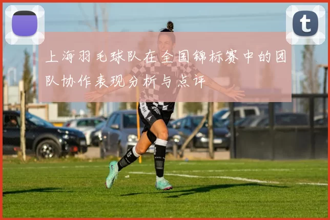 上海羽毛球队在全国锦标赛中的团队协作表现分析与点评