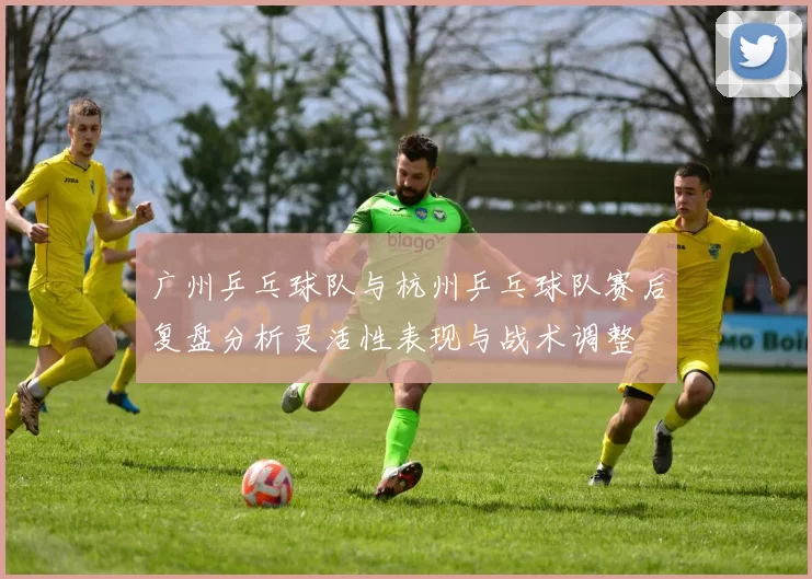 广州乒乓球队与杭州乒乓球队赛后复盘分析灵活性表现与战术调整