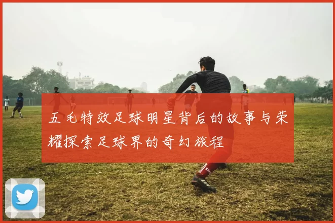 五毛特效足球明星背后的故事与荣耀探索足球界的奇幻旅程