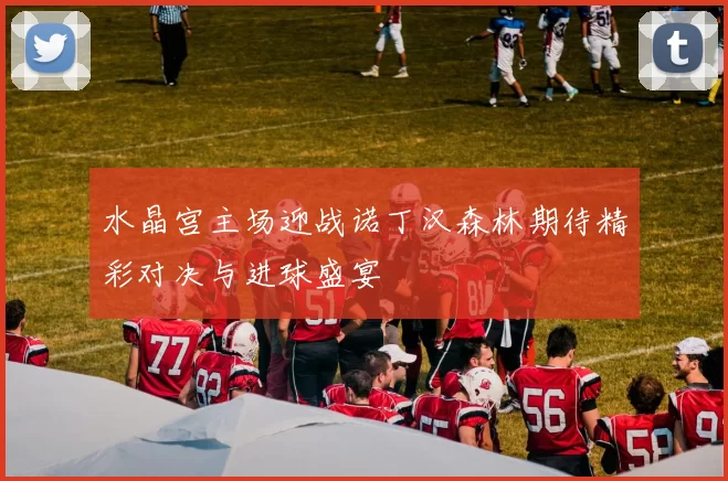水晶宫主场迎战诺丁汉森林期待精彩对决与进球盛宴